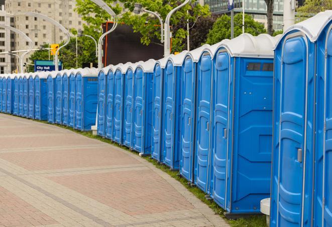 a fleet of portable restrooms ready for use at a large outdoor wedding or celebration in Arcadia